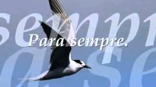 Secret Service Cry Softly tradução