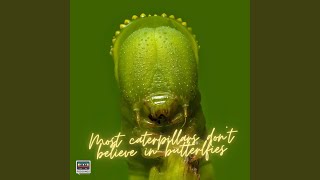 Most Caterpillars Don't Believe in Butterflies Music Video