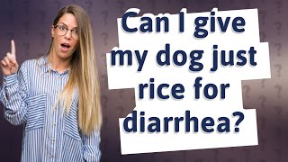 Can I give my dog just rice for diarrhea?