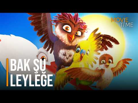 Bak Şu Leyleğe | Türkçe Dublaj Animasyon Filmi 4K