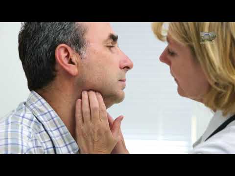 Ne Shtepine Tone, 20 Shtator 2017, Pjesa 2