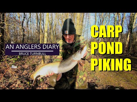 An Anglers Diary with A Moment in Time Channel - Chapter 99 - Pike Fishing