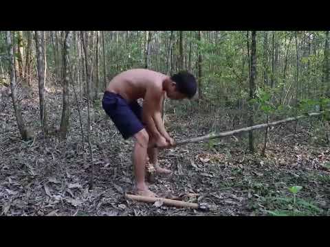 20  Days  Survival  And  Build  In  The  Rain Forest   Full Video