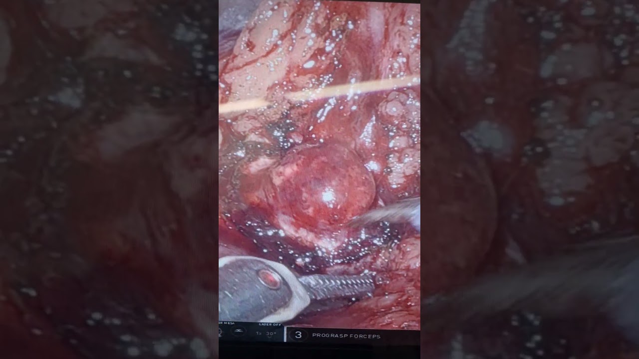 Adolfo Henrique Oliveira-22