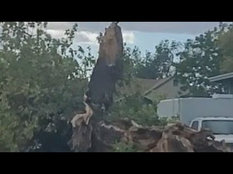 Utah Hurricane Force Winds. Severe Salt Lake City Damage