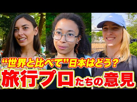 国際教養学科 世界を旅する外国人観光客の「日本観・世界観」が興味深かった！｜外国人インタビュー