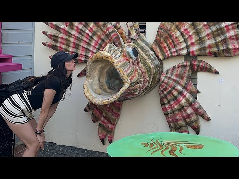 curaçao + rosalía + agua de dios 
