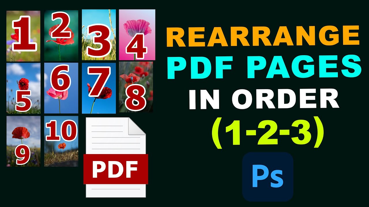 How to Rearrange PDF Pages in Order (1-2-3) – Quick & Easy