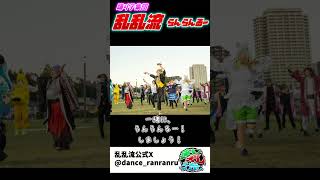 乱乱流タイムスケジュール大・公・開！ #乱乱流 #みちよさ #よさこい #shorts