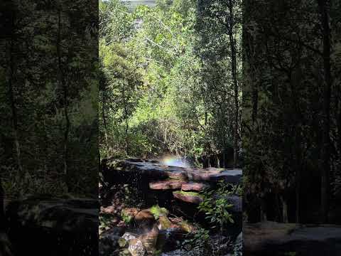 Vale do Pati #chapadadiamantina #bahia #asmr #cachoeira