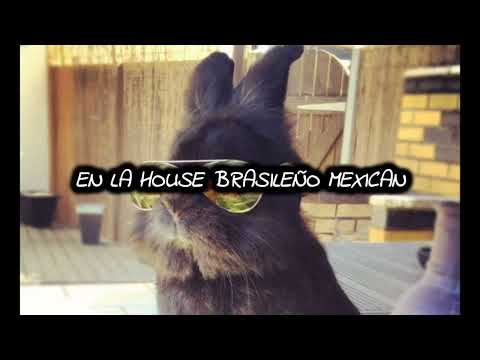 NETO PEÑA ,FLEP 22& TUREK HEM(+_+)CASO CERRADO (LETRA)