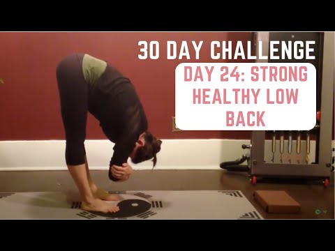 🇨🇦Day 24 - Center Space Pilates 30 Day Pilates Challenge: Strong Healthy Low Back