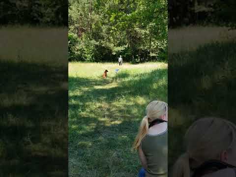 Working Testy Polewicz/Garwolin (PL) - 9.06.2018, posłuszeństwo, marking - memory