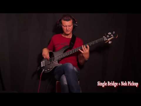Alusonic Django Standard 4 2018 image 12
