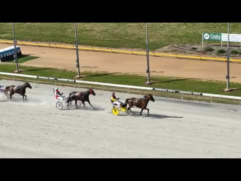 Warragul harness trials Sat Feb 5 2022 - Trial Two