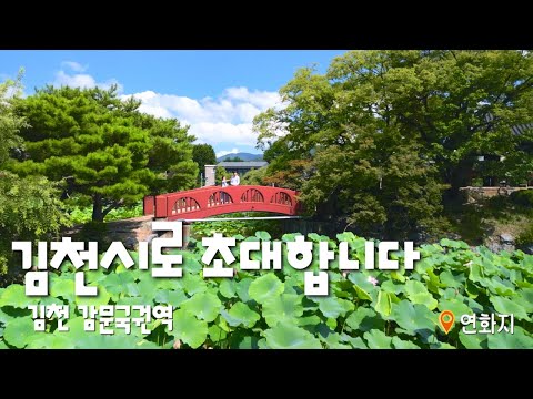 김천으로 놀러와