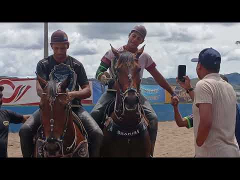A grande final da vaquejada de Pedra Pernambuco parque de Fernandinho 