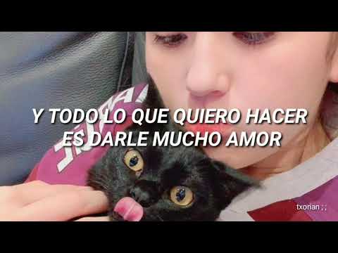 i love my kitty cat - parry gripp [ sub esp ]