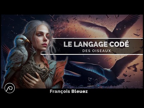 La langue des oiseaux - Partie 1 | François Bleuez