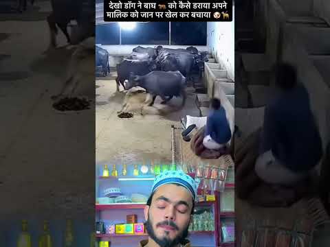 Allah Hu Akbar 🥹☝️🤲💗...