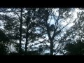 leeland - new creation