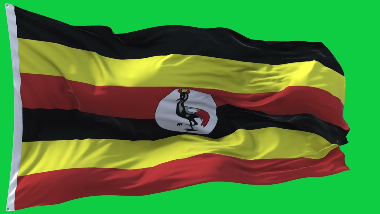 🚩Uganda Flag Waving | GREEN SCREEN & CHROMA MATTE🚩