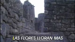 david de maria - petalos marchitos (karaoke)