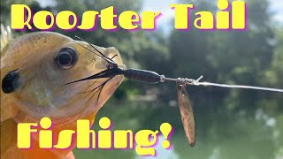 Rooster Tail Fishing (Episode #11)