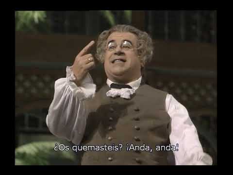 Rossini: Il Barbiere di Siviglia - "A un dottor della mia sorte" - Enzo Dara