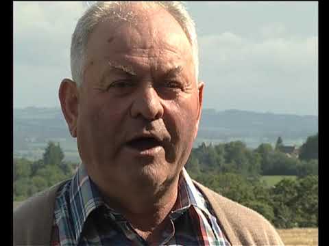 Seguida d'escotichas