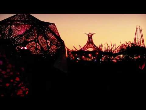 Symbiosis Gathering 2015 Official Recap featuring Moon Frog, Drrtywulvz, + more