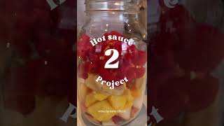 👩‍🍳🌶️Hot sauce project eps.2 is coming soon!🔥