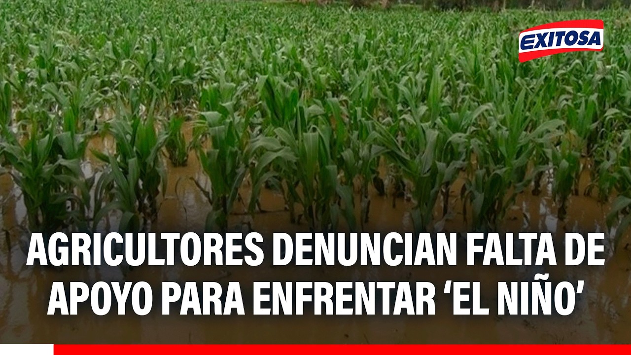 🔴🔵 Tumbes: Agricultores denuncian falta de apoyo para enfrentar el fenómeno El Niño
