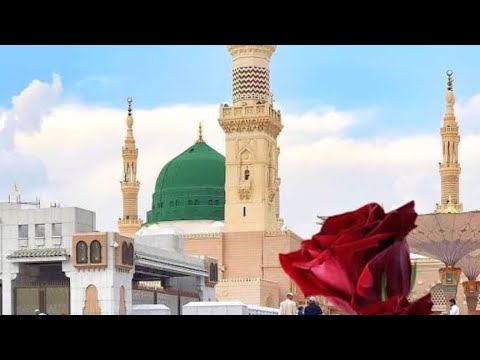 Müzekkin Nüfus : Nefs-i Levvame (24. Kısım) / Tevbesini Unutmamaya Çalışan