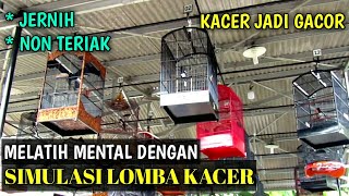 Download lagu Simulasi lomba kacer untuk terapi melatih mental kacer anda 100% ampuh mp3 Download lagu Simulasi lomba kacer untuk terapi melatih mental kacer anda 100% ampuh mp3