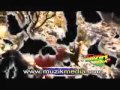 Chuck Fenda Herbalist Farmer 