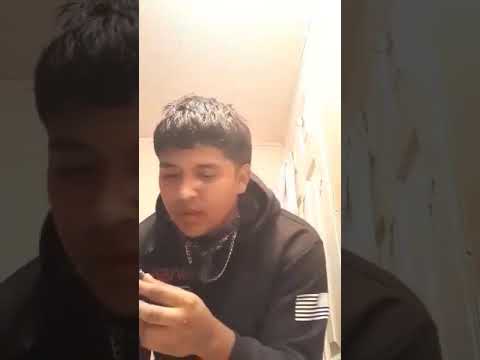 TMGB SACCI " Easy" Freestyle