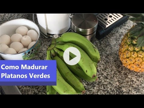 download lagu mp3 mp4 Como Madurar Los Platanos, download lagu Como Madurar Los Platanos gratis, unduh video klip Como Madurar Los Platanos