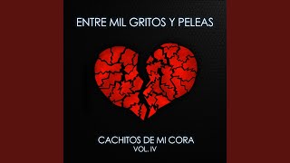 Entre Mil Gritos y Peleas Music Video