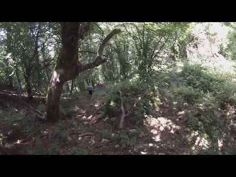 Cetatea de la Jdioara jud. Timis