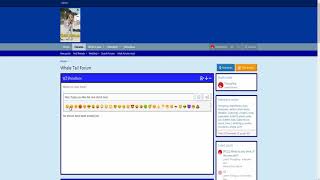 New Shout Box on Whaletail-Forum!