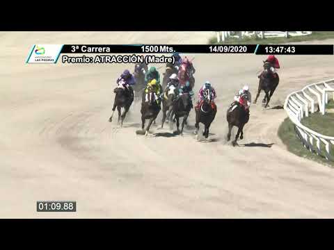 14/09/2020 – Hipodromo Las Piedras – Carr 3 – ATRACCIÓN (Madre)