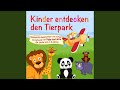 Pingu Pinguin Lied