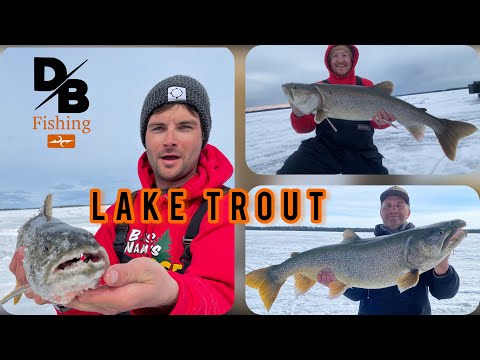 Big Lake Trout on Athapapuskow Lake (Bakers Narrows Lodge)