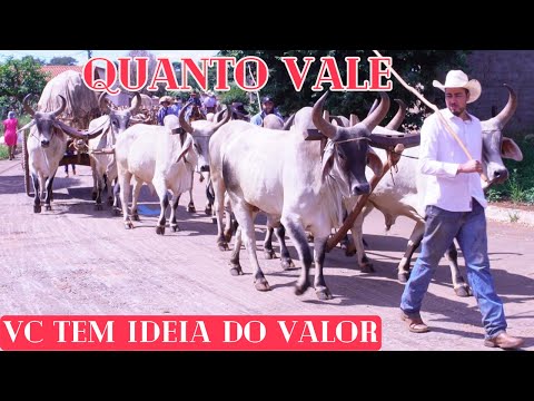 16º encontro de carreiras de Araçu Goiás 03/05/2025