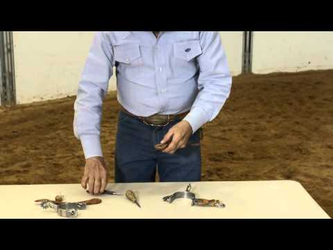 Dennis Moreland Tack: How to Attach Spur Straps with Button Covers
