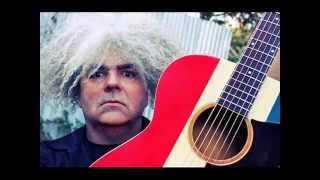 Buzz Osborne - Drunken Baby