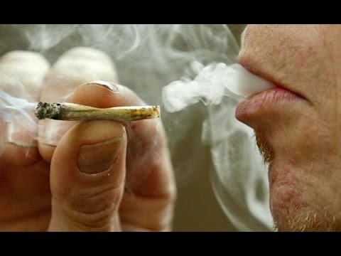 Ellos Que Saben - Maniako, Liriko Wan, El Berbal Y Gissel Méndez (La 4 Verde)