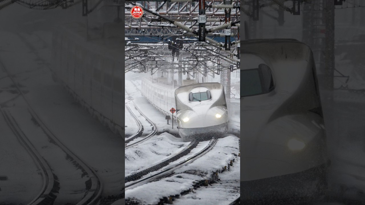 雪の日に米原駅で新幹線を撮影するとこうなる‼︎ #東海道新幹線 #米原駅 #shorts