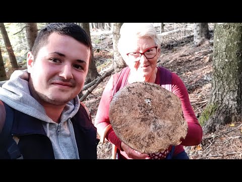 I TOP FUNGHI 2021 (BEST OF) | il meglio dei porcini 2021